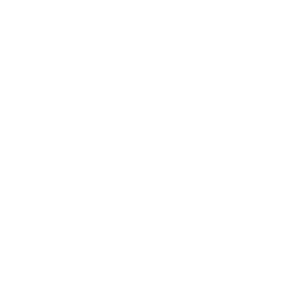 Nachi Brand Logo
